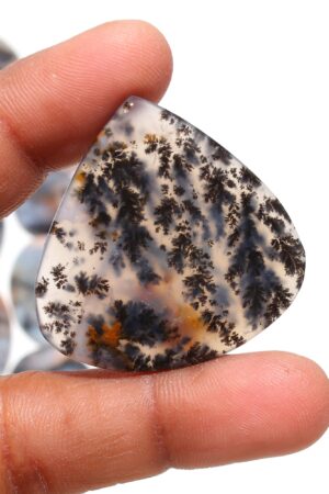 Natural Flower Dendrite – Unique Fern-Like Healing Crystal from Turkey