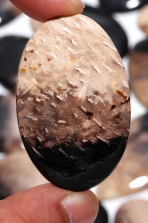 Natural Palm Root Polished Pebbles – Black & Earthy Gemstones from Indonesia