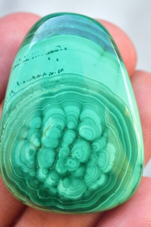 Malachite Cabochon / Top Grade Malachite Gemstone / High Quality / Freeform Shape / 85.55 Ct. / 37x27x7 mm / Loose Gemstone H-46