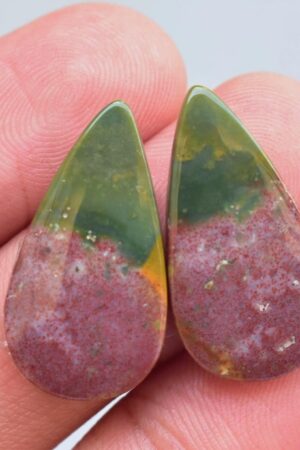 Title: Bloodstone Pair Cabochon / Bloodstone Pair Gemstone / Pear Shape / 18.60 Ct. / 25×13×4 mm. / Loose Gemstone / M‑447