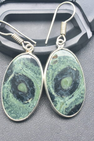 Kambaba Jasper Cabochon / Plated Silver Earring / For Jewelry / Oval Shape / Loose Gemstone Jewelrys A-226