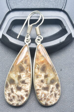 Patrified Fossil Cabochon / Plated Silver Earring / For Jewelry / Pear Shape / Loose Gemstone Jewelrys A-230