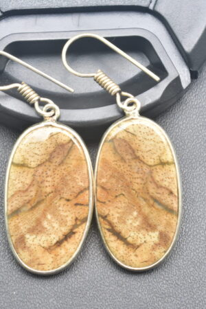 Patrified Fossil Cabochon / Plated Silver Earring / For Jewelry / Oval Shape / Loose Gemstone Jewelrys A-231