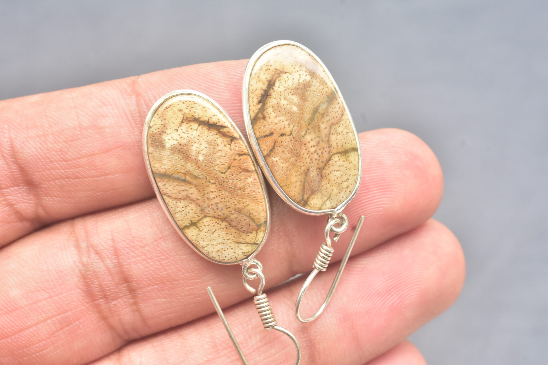 Patrified Fossil Cabochon / Plated Silver Earring / For Jewelry / Oval Shape / Loose Gemstone Jewelrys A-231 - Image 4
