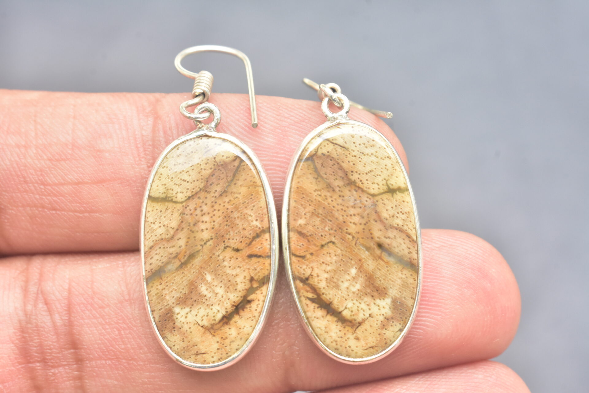 Patrified Fossil Cabochon / Plated Silver Earring / For Jewelry / Oval Shape / Loose Gemstone Jewelrys A-231 - Image 5