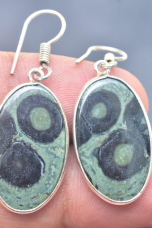 Kambaba Jasper Cabochon / Plated Silver Earring / For Jewelry / Oval Shape / Loose Gemstone Jewelrys A-227