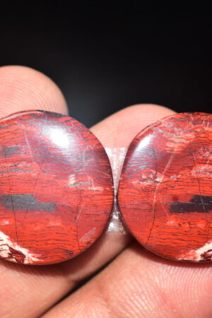 Snake Skin Jasper Pair Cabochon / Snake Skin Jasper Pair Gemstone / Round Shape / 43.85 ct. / 22x5 mm. / Loose Gems / Q-718