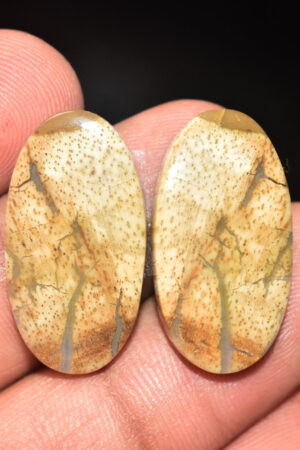Palm Root Pair Cabochon / Palm Root Pair Gemstone / Fossilized Palm Root / Oval Shape / 26.85 Ct. / 24x14x4 mm / Loose Gemstone / Q-784