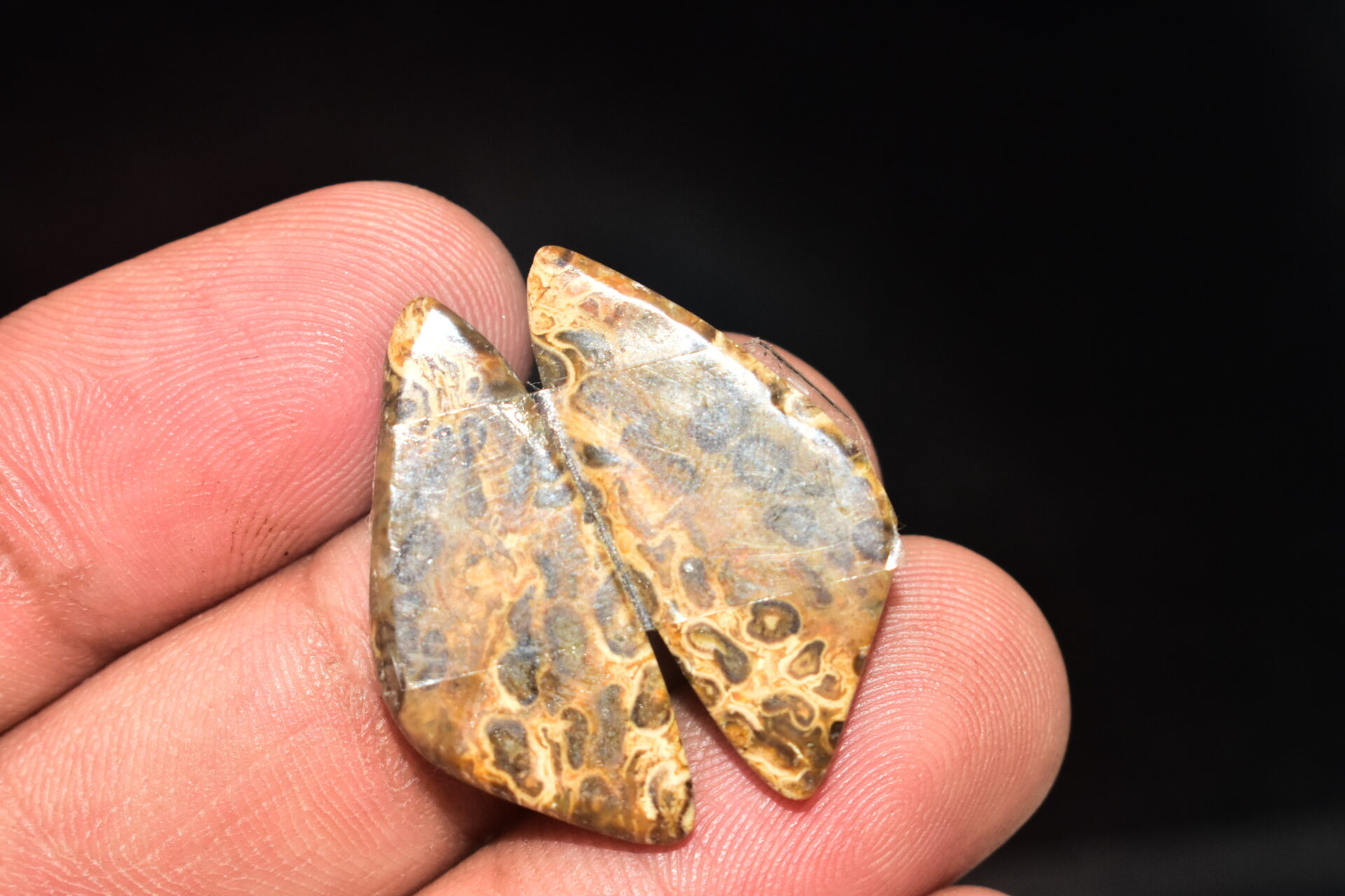 Palm Root Pair Cabochon / Palm Root Pair Gemstone / Fossilized Palm Root / Freeform Shape / 20.70 Ct. / 29x13x4 mm / Loose Gemstone / Q-787 - Image 5