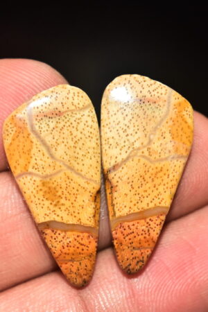 Palm Root Pair Cabochon / Palm Root Pair Gemstone / Fossilized Palm Root / Freeform Shape / 19.90 Ct. / 27x13x4 mm / Loose Gemstone / Q-790