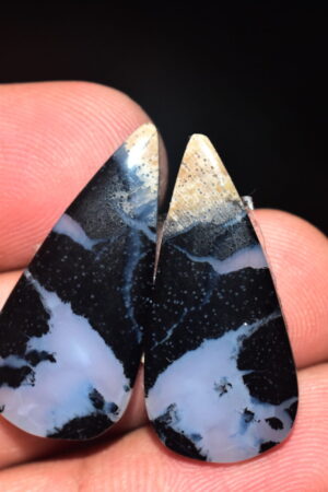 Palm Root Pair Cabochon / Palm Root Pair Gemstone / Fossilized Palm Root / Pear Shape / 22.60 Ct. / 29x13x4 mm / Loose Gemstone / Q-805