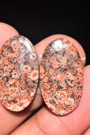 Poppy Jasper Pair Cabochon / Poppy Jasper Pair Gemstone / For Earrings / Oval Shape / 20.65 Ct. / 25x14x3 mm. Loose Gemstone / Q-769