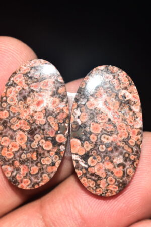 Poppy Jasper Pair Cabochon / Poppy Jasper Pair Gemstone / For Earrings / Oval Shape / 22.30 Ct. / 25x14x4 mm. Loose Gemstone / Q-780