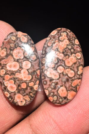 Poppy Jasper Pair Cabochon / Poppy Jasper Pair Gemstone / For Earrings / Oval Shape / 18.30 Ct. / 23x13x4 mm. Loose Gemstone / Q-774