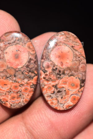 Poppy Jasper Pair Cabochon / Poppy Jasper Pair Gemstone / For Earrings / Oval Shape / 22.15 Ct. / 23x14x4 mm. Loose Gemstone / Q-771