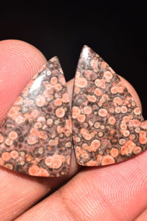 Poppy Jasper Pair Cabochon / Poppy Jasper Pair Gemstone / For Earrings / Freeform Shape / 19.00 Ct. / 24x15x4 mm. Loose Gemstone / Q-753