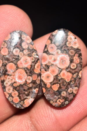 Poppy Jasper Pair Cabochon / Poppy Jasper Pair Gemstone / For Earrings / Oval Shape / 18.50 Ct. / 23x12x4 mm. Loose Gemstone / Q-751