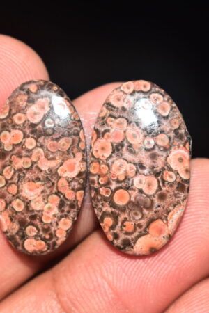 Poppy Jasper Pair Cabochon / Poppy Jasper Pair Gemstone / For Earrings / Oval Shape / 19.35 Ct. / 23x13x4 mm. Loose Gemstone / Q-754