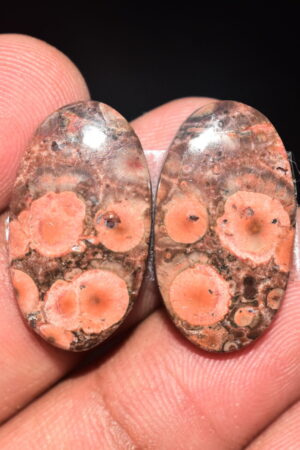 Poppy Jasper Pair Cabochon / Poppy Jasper Pair Gemstone / For Earrings / Oval Shape / 22.55 Ct. / 24x13x4 mm. Loose Gemstone / Q-755