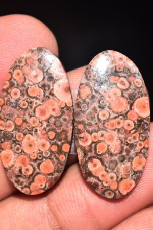 Poppy Jasper Pair Cabochon / Poppy Jasper Pair Gemstone / For Earrings / Oval Shape / 26.20 Ct. / 28x14x4 mm. Loose Gemstone / Q-768