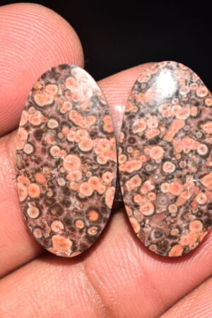 Poppy Jasper Pair Cabochon / Poppy Jasper Pair Gemstone / For Earrings / Oval Shape / 21.80 Ct. / 25x13x4 mm. Loose Gemstone / Q-779