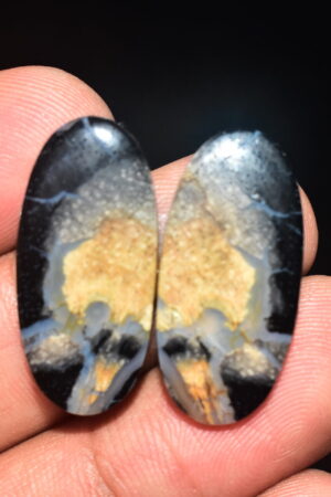 Palm Root Pair Cabochon / Palm Root Pair Gemstone / Fossilized Palm Root / Oval Shape / 24.95 Ct. / 27x13x4 mm / Loose Gemstone / Q-789