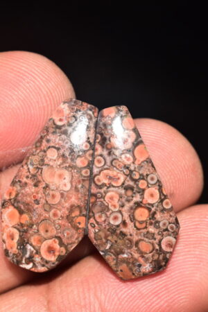 Poppy Jasper Pair Cabochon / Poppy Jasper Pair Gemstone / For Earrings / Freeform Shape / 15.80 Ct. / 24x13x4 mm. Loose Gemstone / Q-770