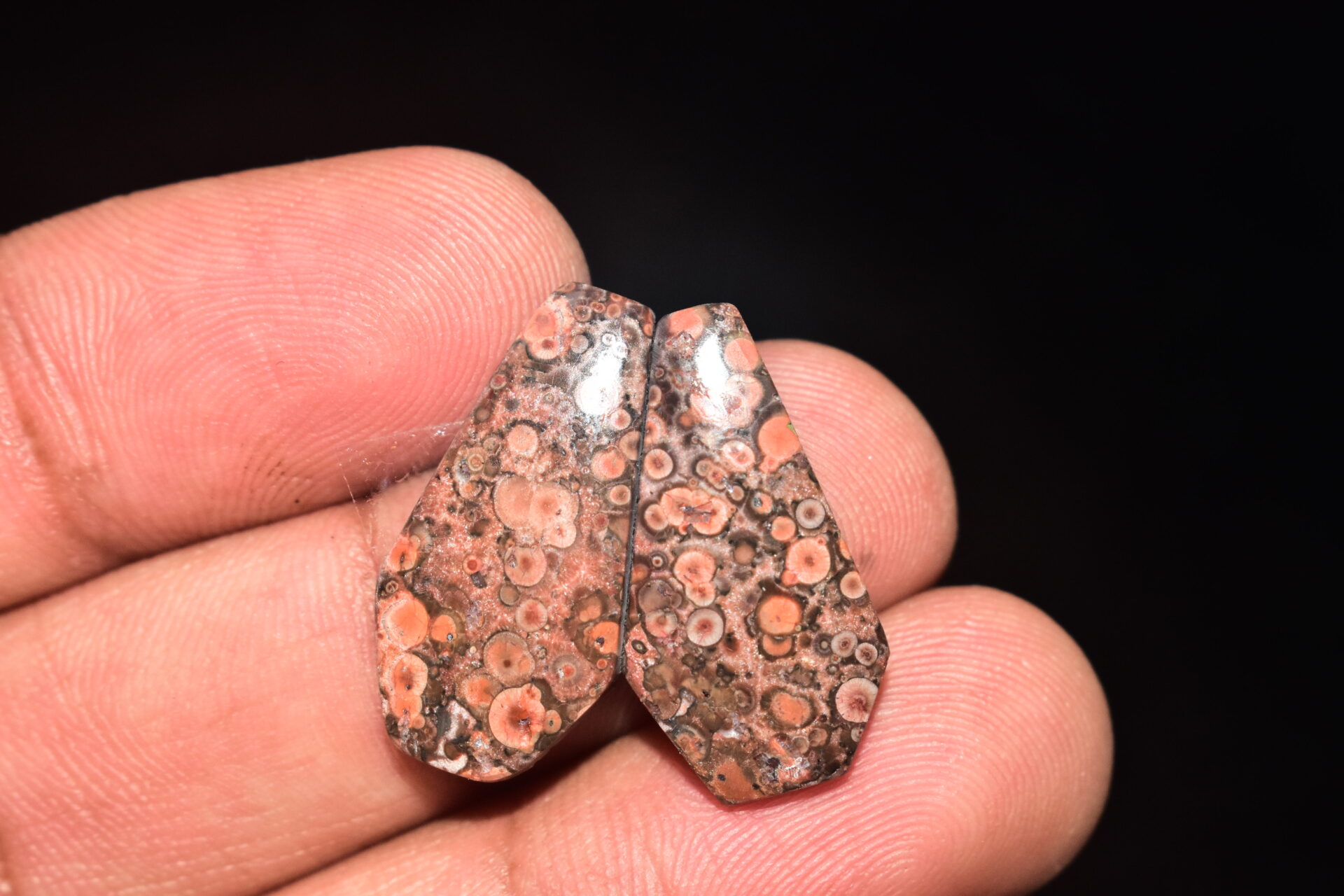 Poppy Jasper Pair Cabochon / Poppy Jasper Pair Gemstone / For Earrings / Freeform Shape / 15.80 Ct. / 24x13x4 mm. Loose Gemstone / Q-770