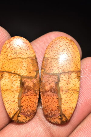 Palm Root Pair Cabochon / Palm Root Pair Gemstone / Fossilized Palm Root / Oval Shape / 25.50 Ct. / 28x13x4 mm / Loose Gemstone / Q-785