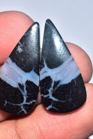 Palm Root Pair Cabochon / Palm Root Pair Gemstone / Fossilized Palm Root / Pear Shape / 24.95 Ct. / 29x13x4 mm / Loose Gemstone / Q-804