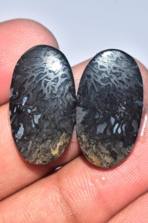Palm Root Pair Cabochon / Palm Root Pair Gemstone / Fossilized Palm Root / Oval Shape / 24.95 Ct. / 24x13x4 mm / Loose Gemstone / Q-794