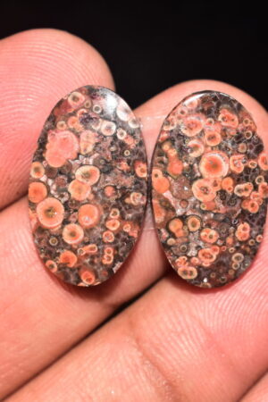 Poppy Jasper Pair Cabochon / Poppy Jasper Pair Gemstone / For Earrings / Oval Shape / 16.85 Ct. / 22x13x4 mm. Loose Gemstone / Q-766