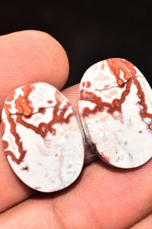 Rosseta Crazy Lace Agate Pair Cabochon / Rosseta Jasper Pair Gemstone / Oval Shape / 30.80 Ct. / 22x16x4 mm. / Loose Gemstone / R-5