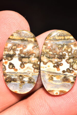 Ocean Jasper Pair Cabochon / Top Quality Ocean Jasper Pair Gemstone / Oval Shape / 24.95 Ct. / 22x12x4 mm. Loose Gemstone / Q-972