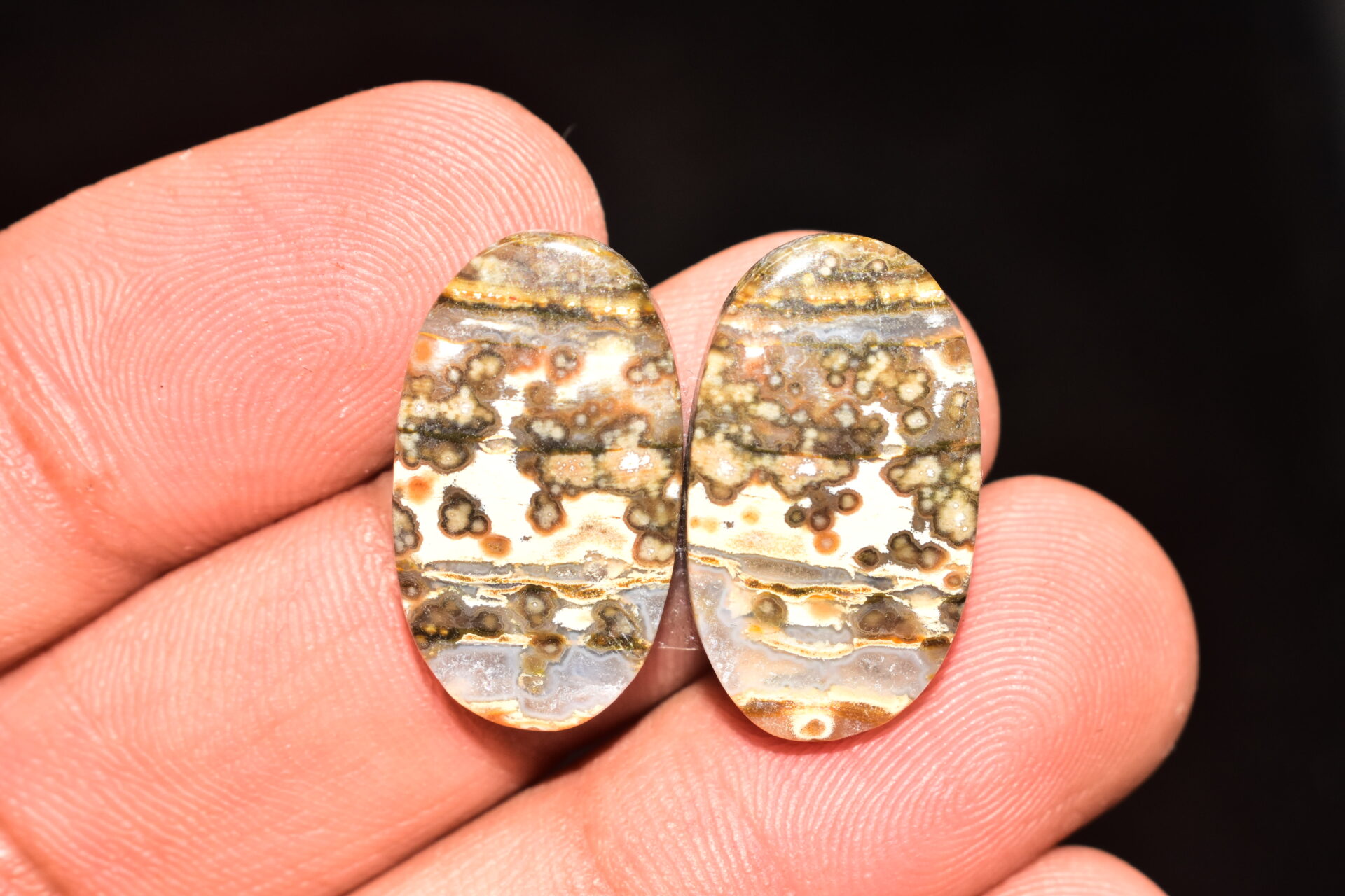 Ocean Jasper Pair Cabochon / Top Quality Ocean Jasper Pair Gemstone / Oval Shape / 24.95 Ct. / 22x12x4 mm. Loose Gemstone / Q-972