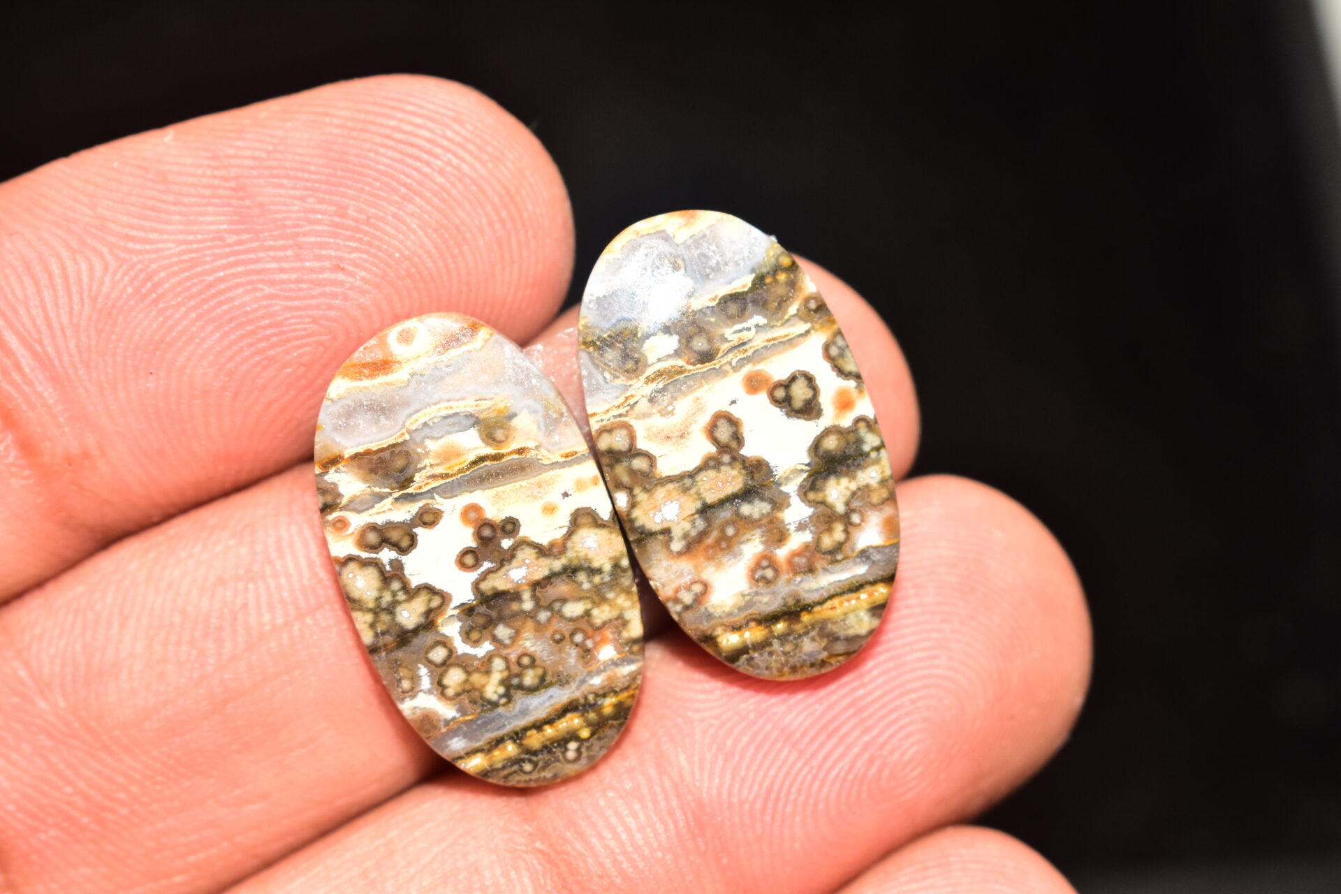 Ocean Jasper Pair Cabochon / Top Quality Ocean Jasper Pair Gemstone / Oval Shape / 24.95 Ct. / 22x12x4 mm. Loose Gemstone / Q-972 - Image 3