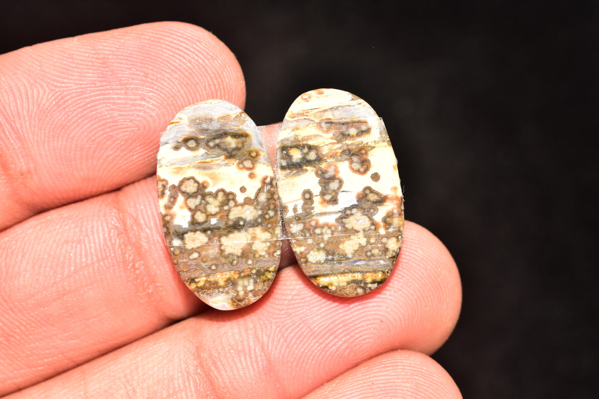 Ocean Jasper Pair Cabochon / Top Quality Ocean Jasper Pair Gemstone / Oval Shape / 24.95 Ct. / 22x12x4 mm. Loose Gemstone / Q-972 - Image 4