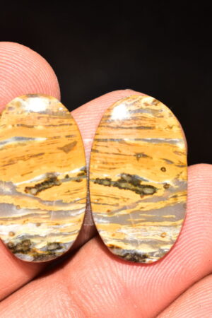 Ocean Jasper Pair Cabochon / Top Quality Ocean Jasper Pair Gemstone / Oval Shape / 22.30 Ct. / 23x14x4 mm. Loose Gemstone / Q-965