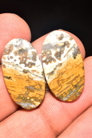 Ocean Jasper Pair Cabochon / Top Quality Ocean Jasper Pair Gemstone / Oval Shape / 23.30 Ct. / 24x13x4 mm. Loose Gemstone / Q-983