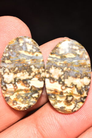 Ocean Jasper Pair Cabochon / Top Quality Ocean Jasper Pair Gemstone / Oval Shape / 25.00 Ct. / 23x14x4 mm. Loose Gemstone / Q-969