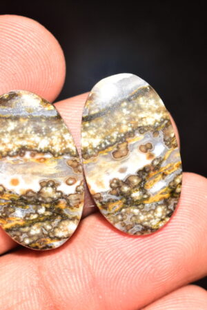 Ocean Jasper Pair Cabochon / Top Quality Ocean Jasper Pair Gemstone / Oval Shape / 24.95 Ct. / 23x14x4 mm. Loose Gemstone / Q-984