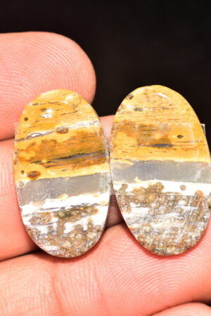 Ocean Jasper Pair Cabochon / Top Quality Ocean Jasper Pair Gemstone / Oval Shape / 28.75 Ct. / 25x14x4 mm. Loose Gemstone / Q-966