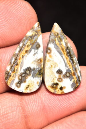 Ocean Jasper Pair Cabochon / Top Quality Ocean Jasper Pair Gemstone / Pear Shape / 22.25 Ct. / 24x13x5 mm. Loose Gemstone / Q-968