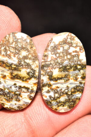 Ocean Jasper Pair Cabochon / Top Quality Ocean Jasper Pair Gemstone / Oval Shape / 32.65 Ct. / 25x14x5 mm. Loose Gemstone / Q-979