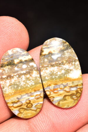 Ocean Jasper Pair Cabochon / Top Quality Ocean Jasper Pair Gemstone / Oval Shape / 22.60 Ct. / 23x13x4 mm. Loose Gemstone / Q-967