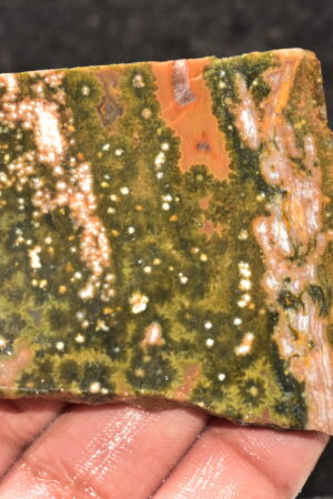 Ocean Jasper Slice Cabochon / Top Quality Ocean Jasper Gemstone / Slice / 235.05 Ct. / 62x60x6 mm. Loose Gemstone A-212