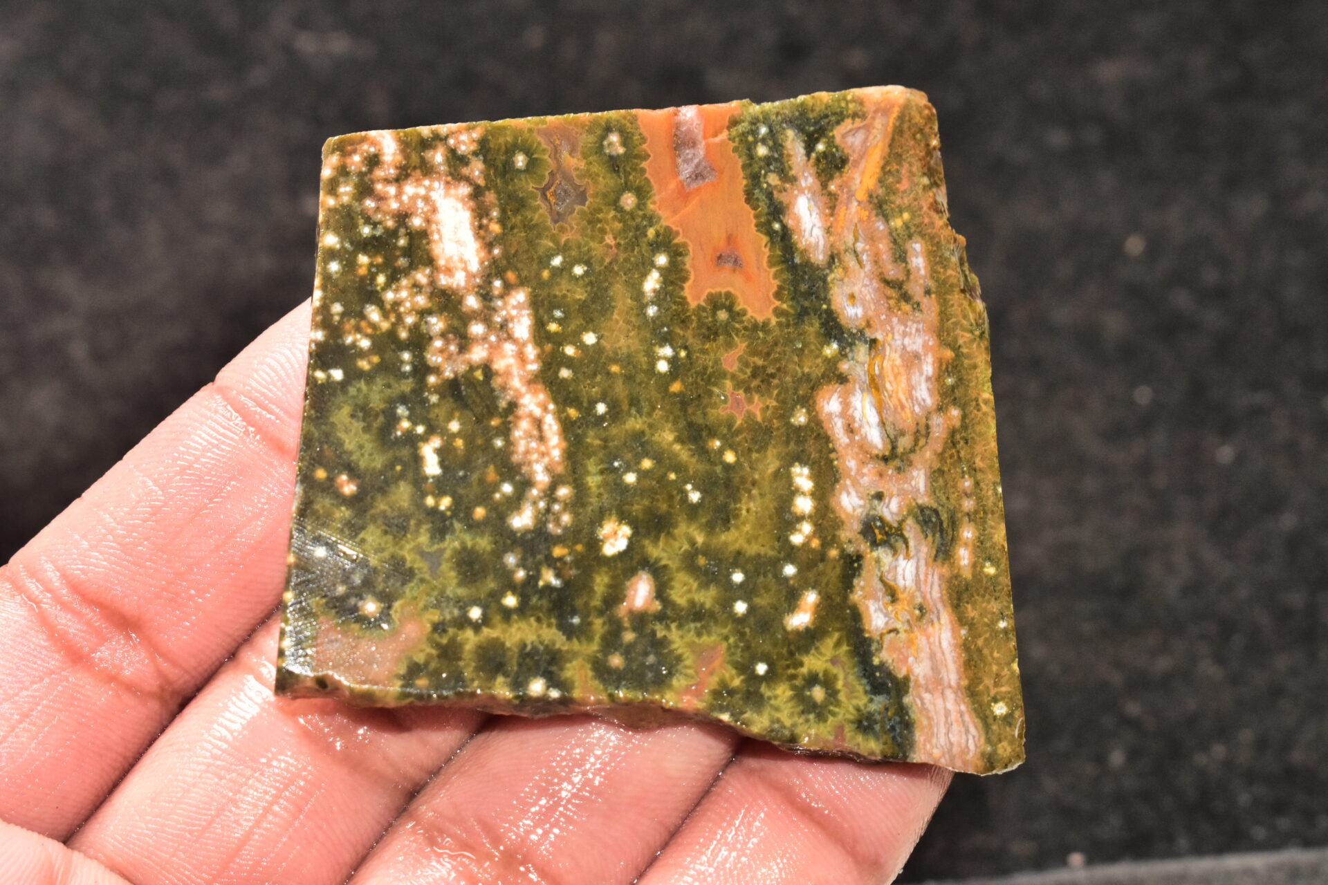 Ocean Jasper Slice Cabochon / Top Quality Ocean Jasper Gemstone / Slice / 235.05 Ct. / 62x60x6 mm. Loose Gemstone A-212