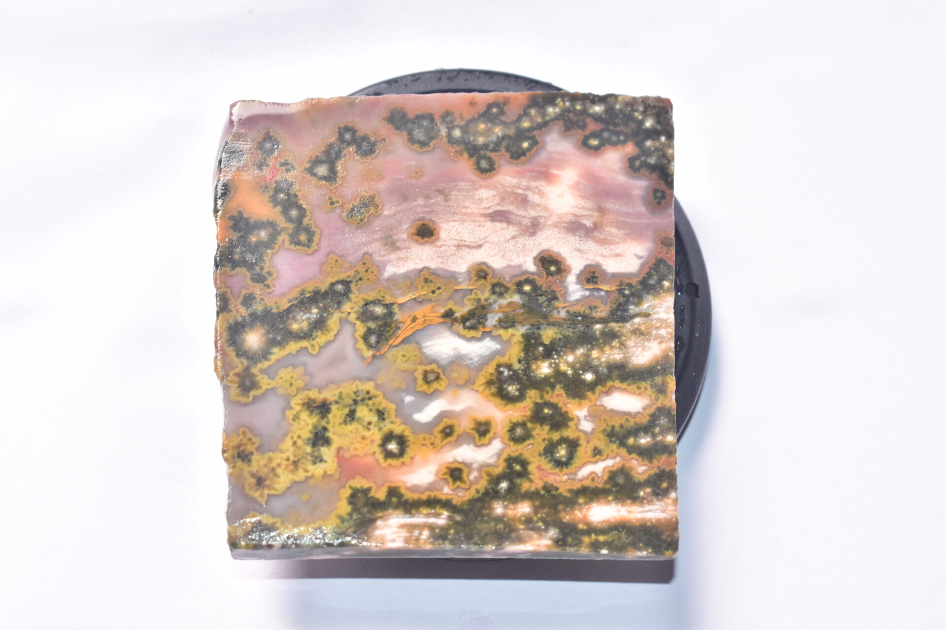 Ocean Jasper Slice Cabochon / Top Quality Ocean Jasper Gemstone / Slice / 196.45 Ct. / 55x53x6 mm. Loose Gemstone A-227 - Image 2