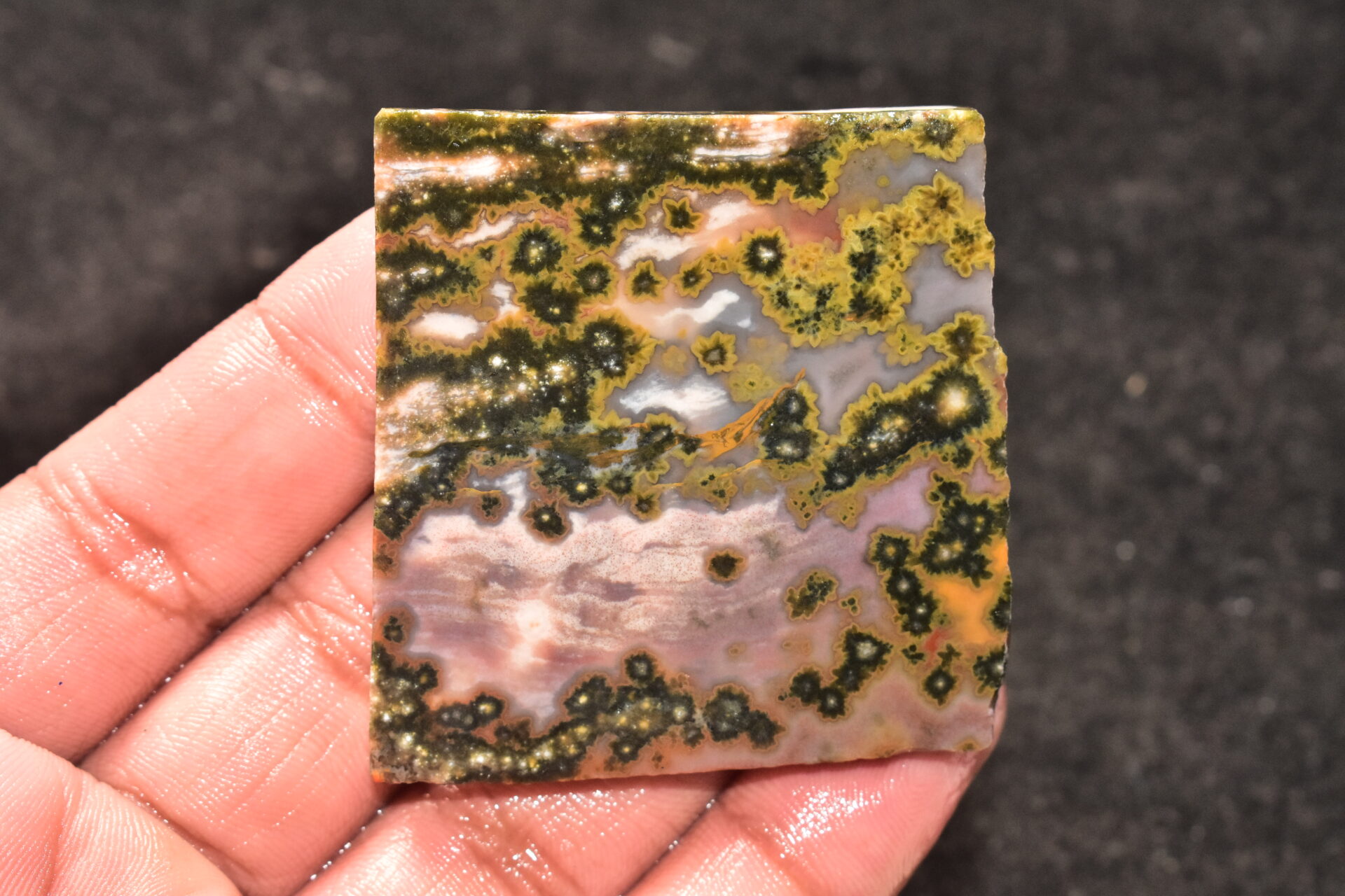 Ocean Jasper Slice Cabochon / Top Quality Ocean Jasper Gemstone / Slice / 196.45 Ct. / 55x53x6 mm. Loose Gemstone A-227 - Image 3