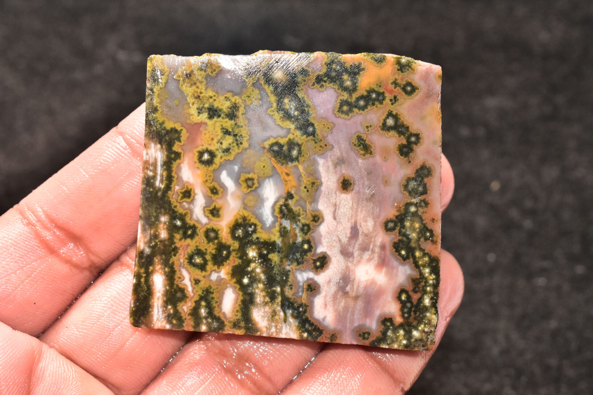 Ocean Jasper Slice Cabochon / Top Quality Ocean Jasper Gemstone / Slice / 196.45 Ct. / 55x53x6 mm. Loose Gemstone A-227 - Image 4
